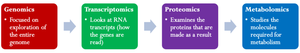 branches of omic research