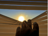 blinds showing sun shining through