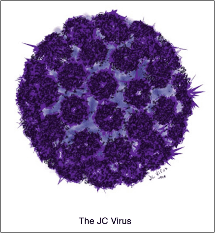 jc-virus