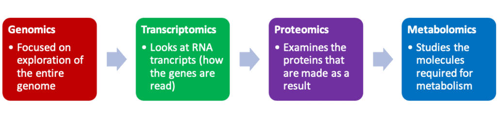 Branches of Omics Research flow chart