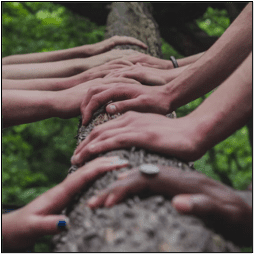 hands on a log