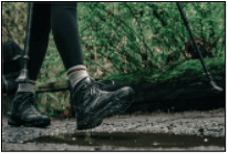 walking through forest in sneakers