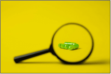 magnifying glass