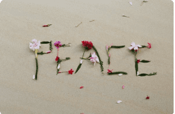 peace written in sand