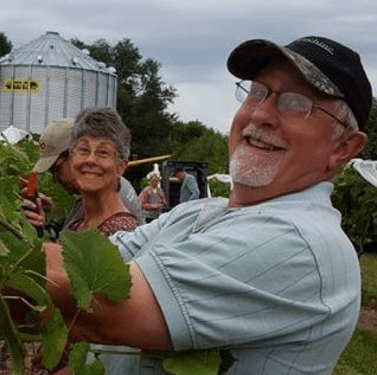 Julie and Elmer, picking grapes in NE