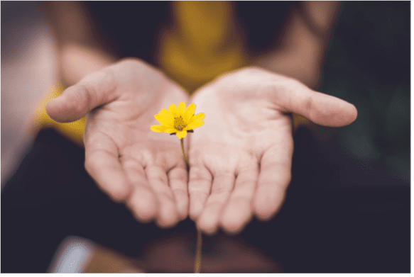 hands holding yellow flower