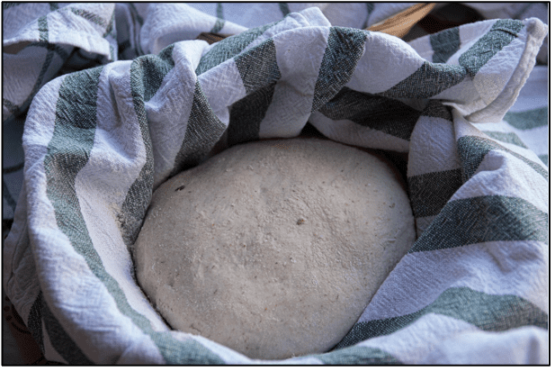 bread rising