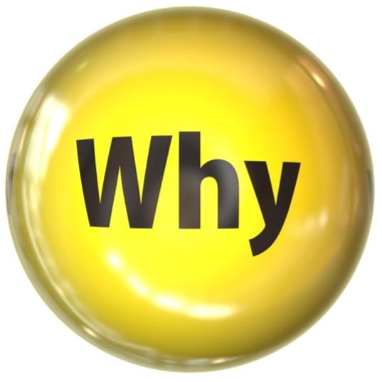 yellow circle with why inside